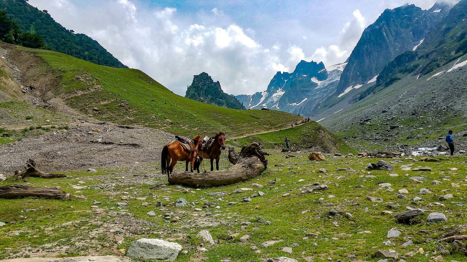 3 Night 4 Days Kashmir Tour Package